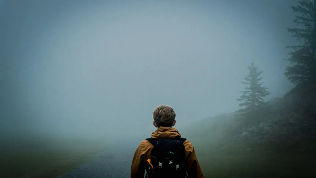 a person with a backpack looking at a foggy forest