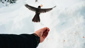 Lâcher prise en amour : 3 clés pour aimer sans peur