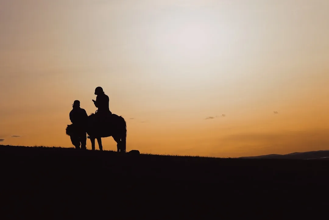 silhouette of 2 people riding horse during sunset
