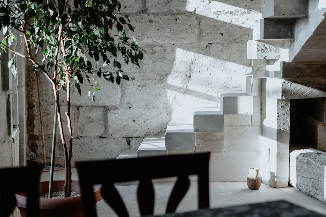 a tree in a room with a stone wall