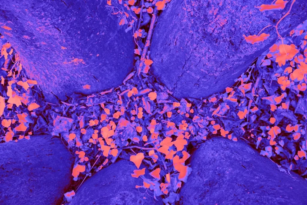 a close up of a blue cloth