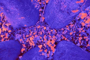 a close up of a blue cloth