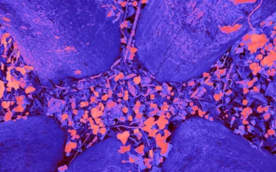 a close up of a blue cloth