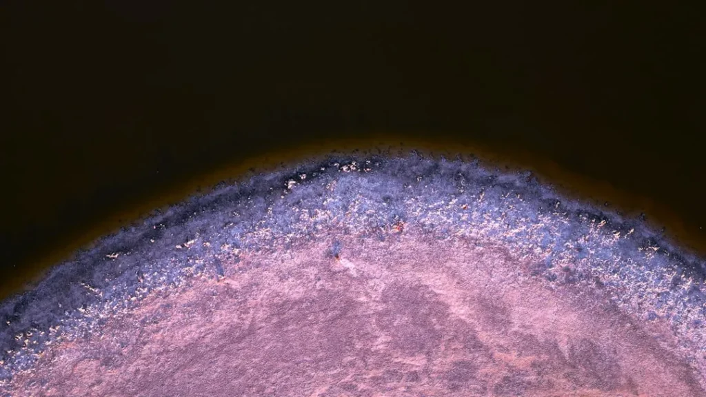 a close up of a blue and purple object