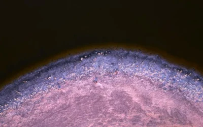 a close up of a blue and purple object