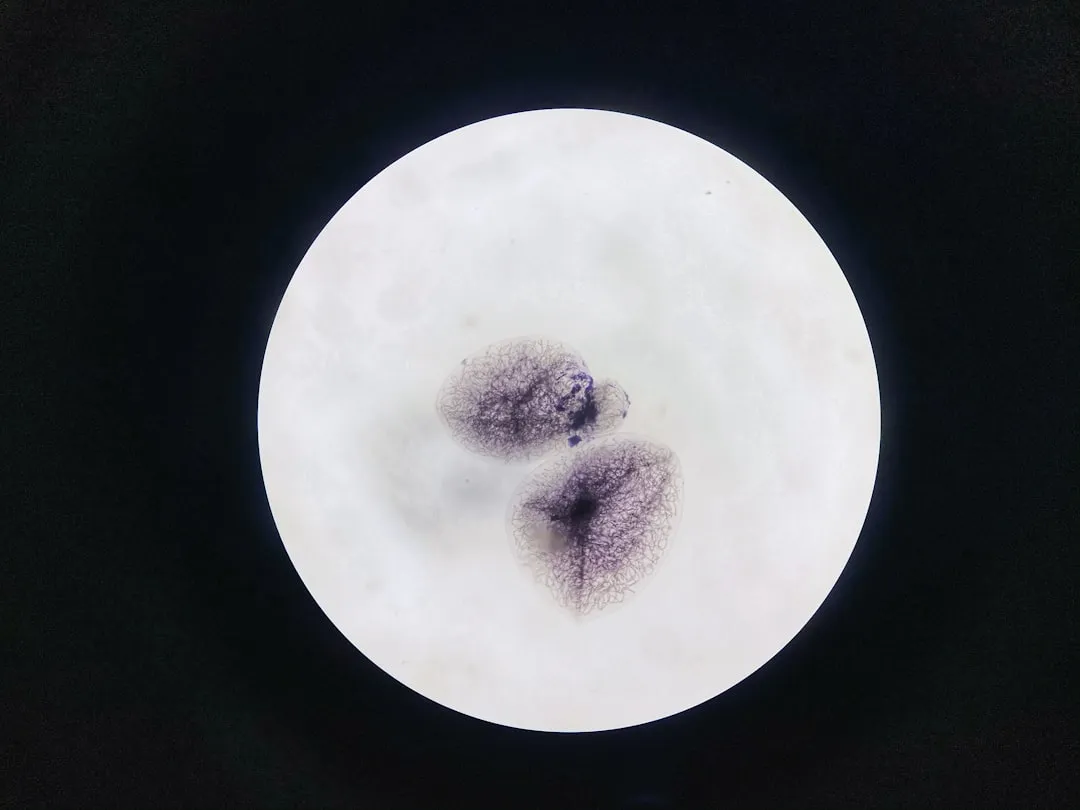 white moon on black background