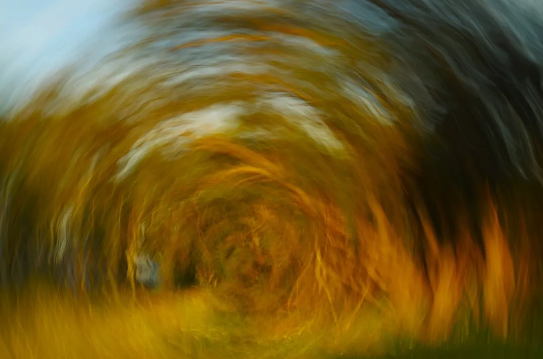 Abstract swirl of autumn trees and grass.