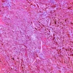 a pink and yellow background with a lot of dirt