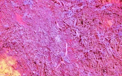 a pink and yellow background with a lot of dirt