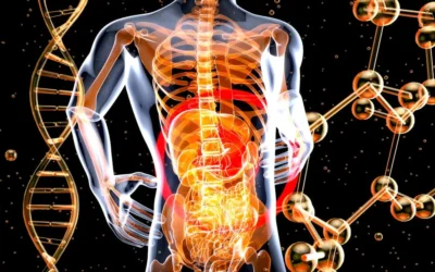 a 3d image of the human body and the structure of the body