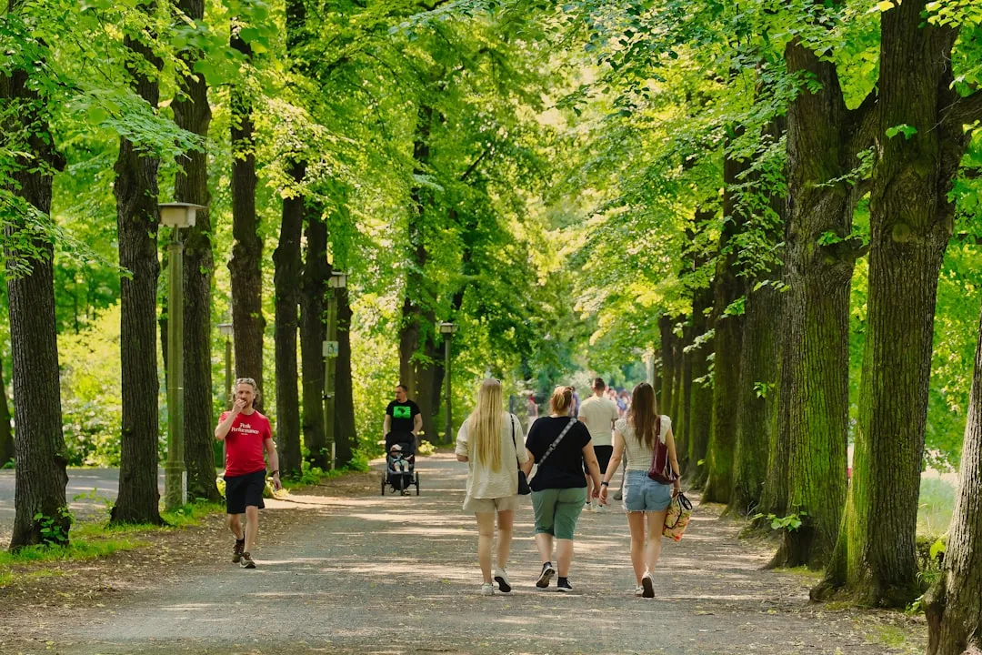 People walking on a tree-lined path in a park.
