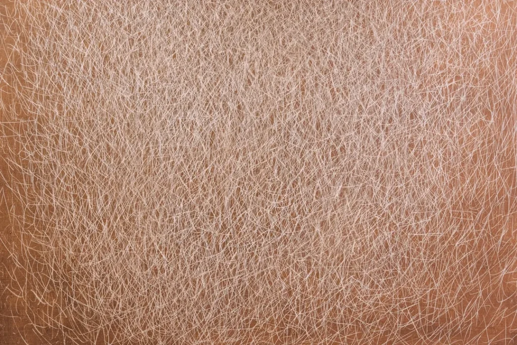 A close up of a person's brown hair