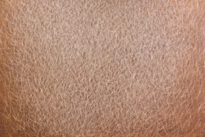 A close up of a person's brown hair
