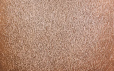 A close up of a person's brown hair