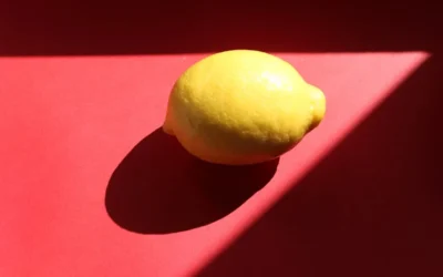 yellow lemon on purple textile