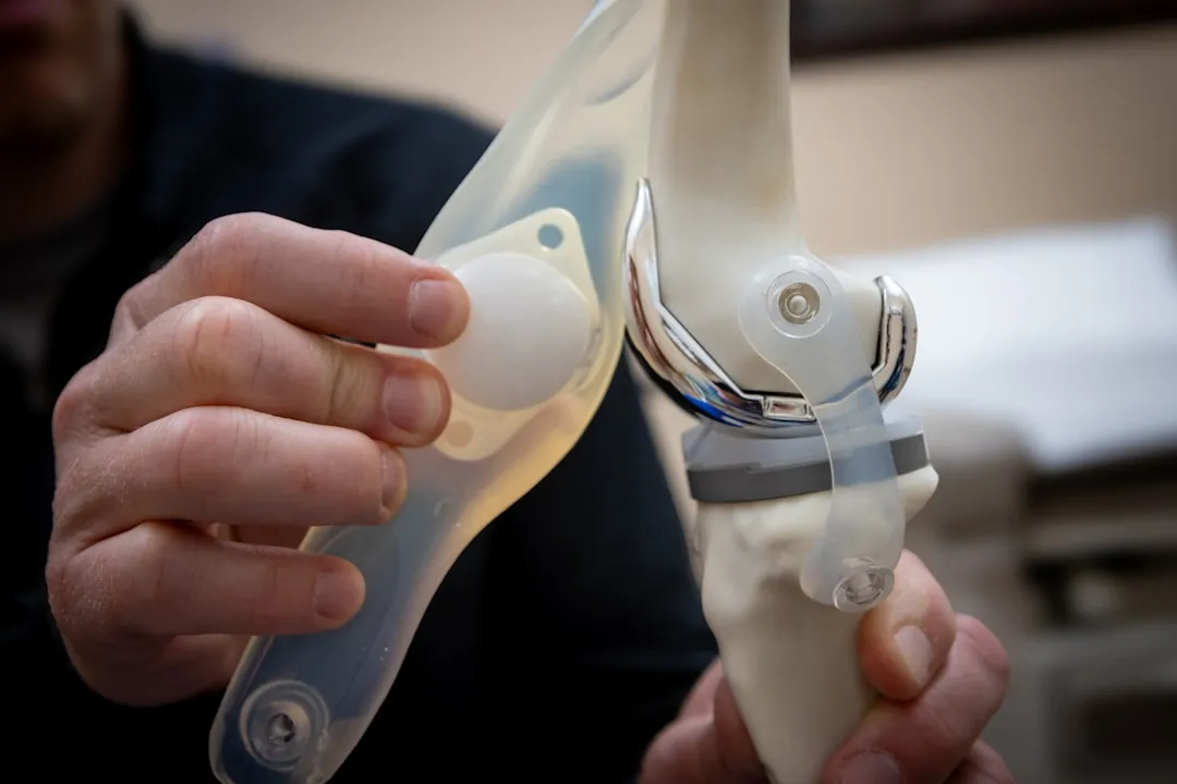 Man examines a knee joint model.