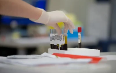a gloved hand holding a test tube filled with blood