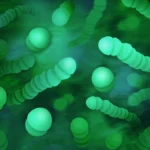 a bunch of green balls in a green background