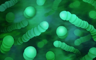 a bunch of green balls in a green background